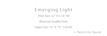 Emerging Light Print