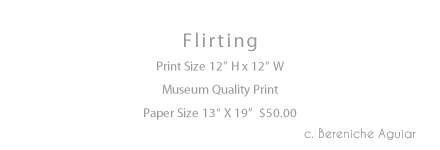 Flirting Print