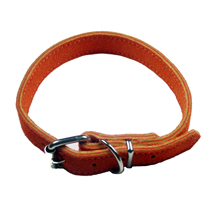 Classic Collars Orange