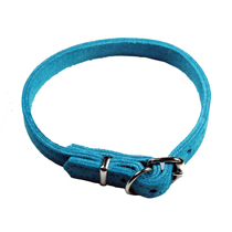 Classic Collars Turquoise