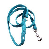 Leashes Turquoise