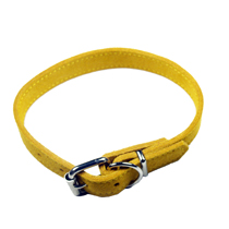 Classic Collars Yellow